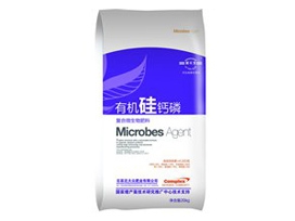 有機硅鈣磷生物菌肥