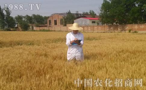 石家莊生物有機(jī)肥.jpg
